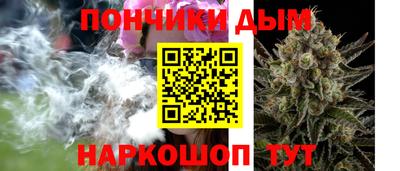 СК Дубна
