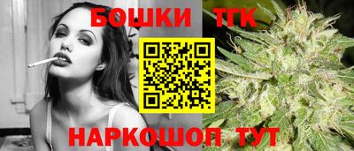 СК Дубна