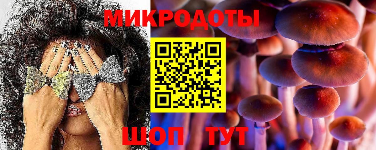 Галлюциногенные грибы мухоморы Мирный